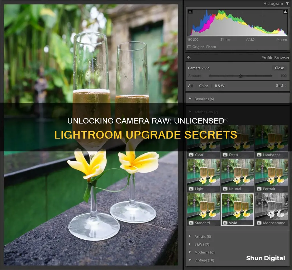 how to update camera raw 9 to unlicensed lightroom