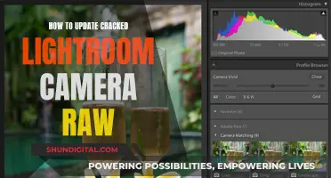 Updating Lightroom: Fix Camera Raw with Simple Steps