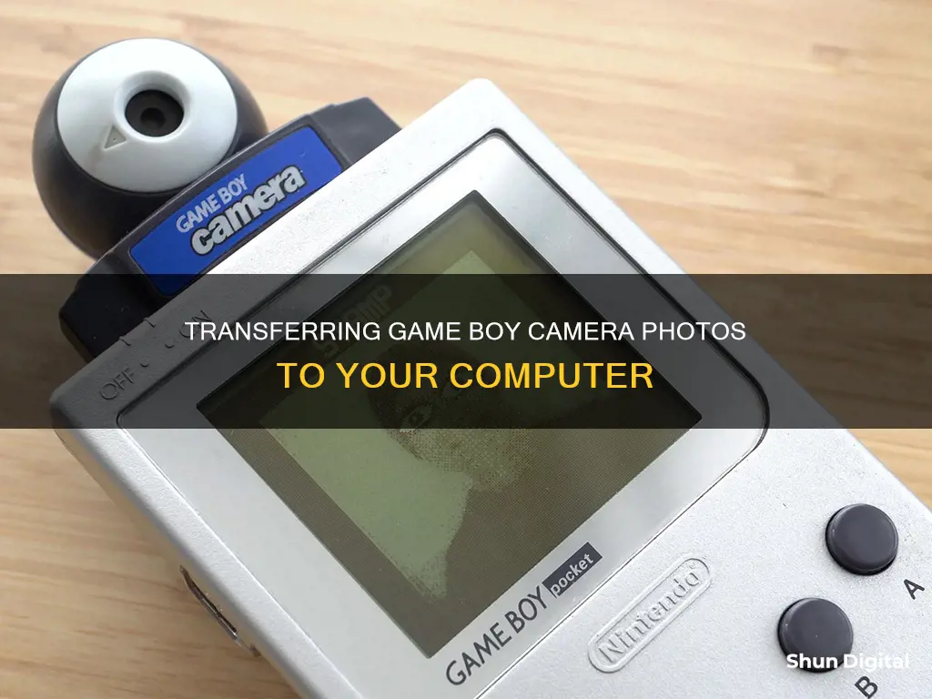 how to upload game boy camera to computer