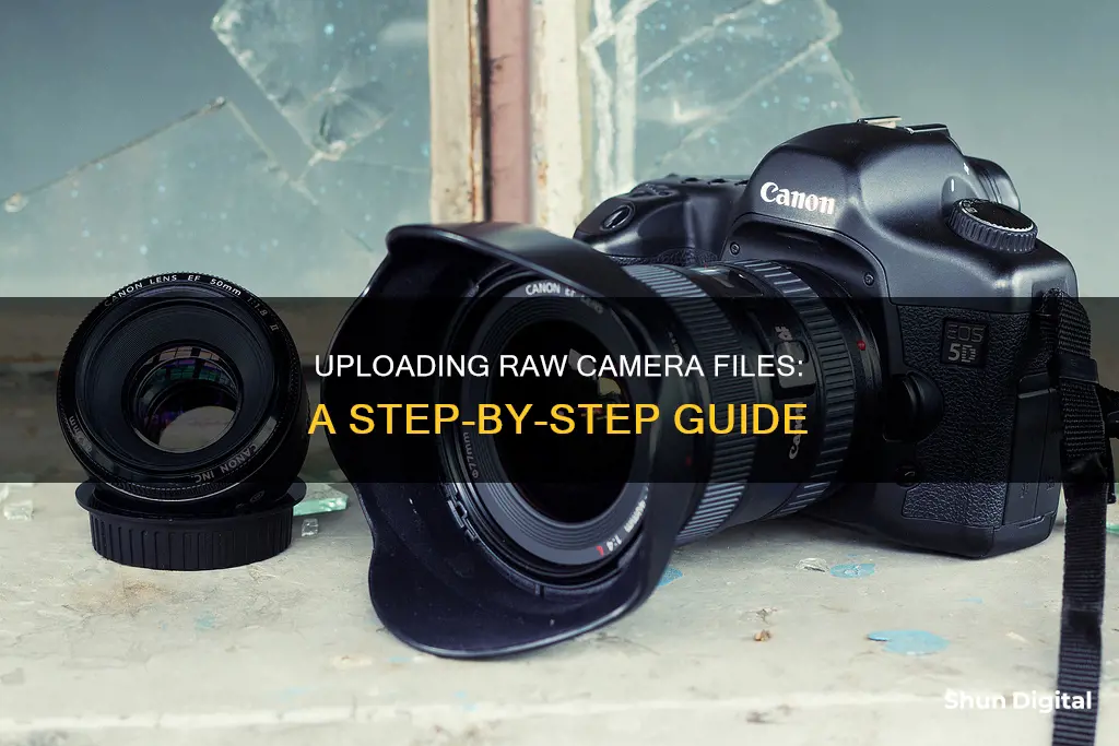 how to upload raw files from camera