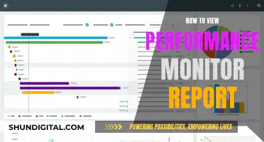 Performance Monitor Reports: Viewing and Understanding Basics