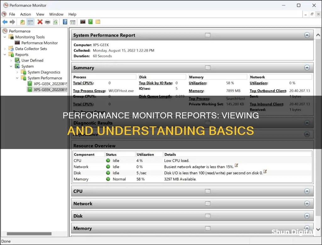 how to view performance monitor report