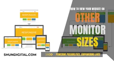 Viewing Your Website: Monitor Size Matters