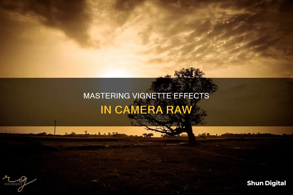 how to vignete in camera raw