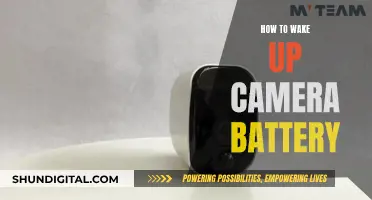 Reviving Camera Batteries: Simple Tricks to Try