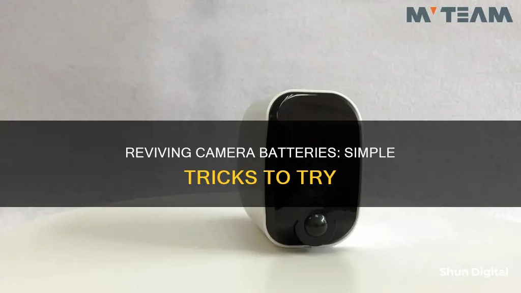 how to wake up camera battery