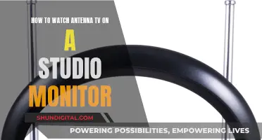 Watching Antenna TV: Studio Monitor Setup Guide