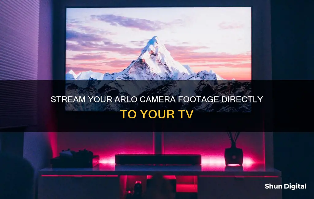 how to watch arol camera on tv