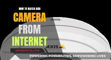 Accessing Axis Cameras Remotely: Internet Viewing Guide