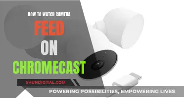 Casting Camera Feeds: Using Chromecast to View Live Footage