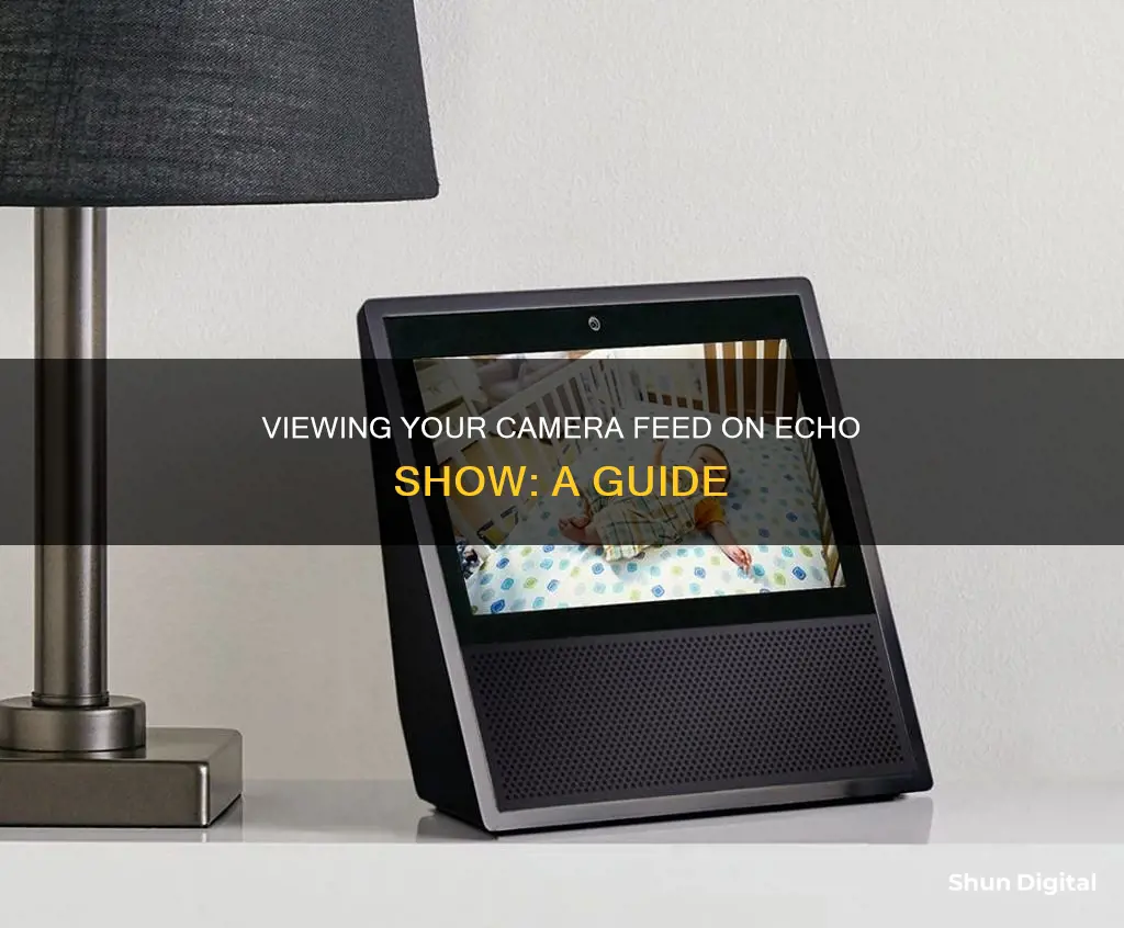 how to watch camera on echo show