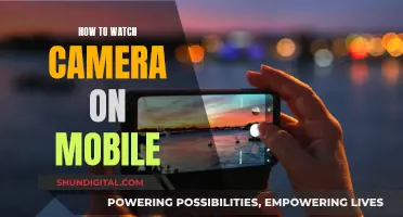 Mobile Camera Viewing: Easy Access for All