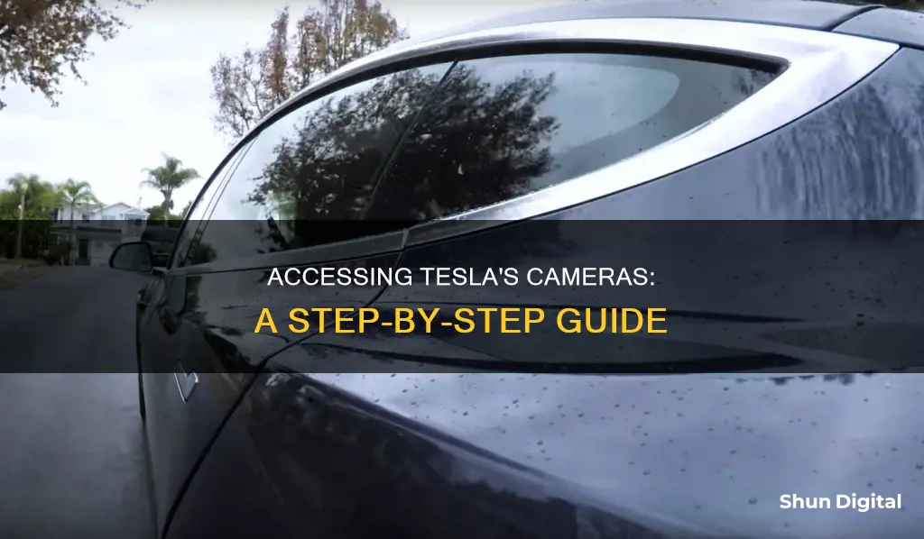 how to watch camera on tesla