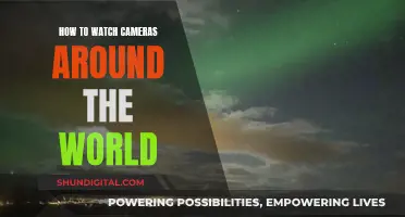 Exploring Global Camera Feeds: A Step-by-Step Guide