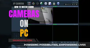 Camhi Cameras: Viewing on PC