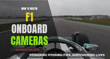 Exploring F1 Onboard Cameras: A Spectator's Guide