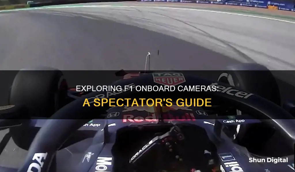 how to watch f1 onboard cameras