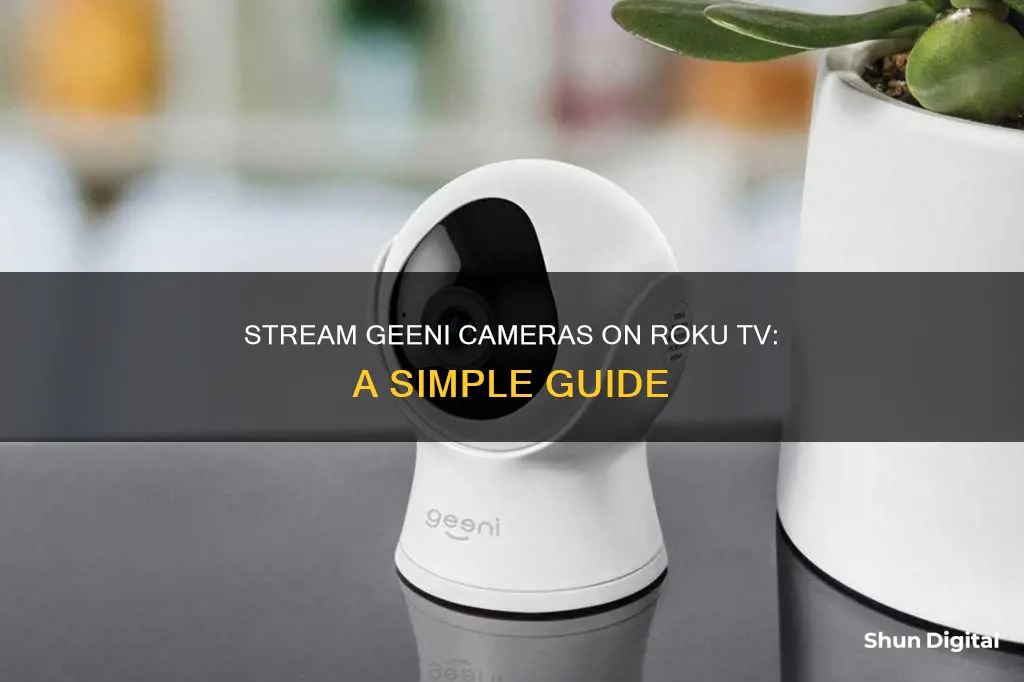 how to watch geeni camera on roku tv