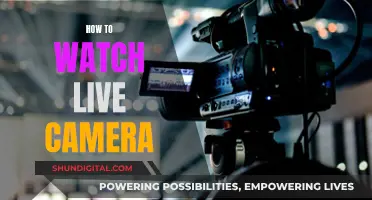 Watching Live Camera Feeds: A Step-by-Step Guide