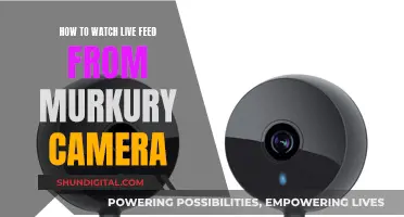 Stream Live Feed from Your Mercury Camera