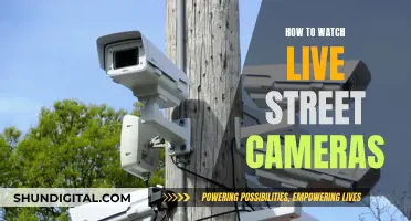 Exploring Live Street Cameras: A Beginner's Guide