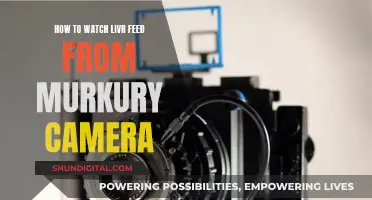 Stream Live Feed from Mercury Camera: A Step-by-Step Guide