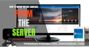 Accessing ADT Cameras: Server Viewing Guide
