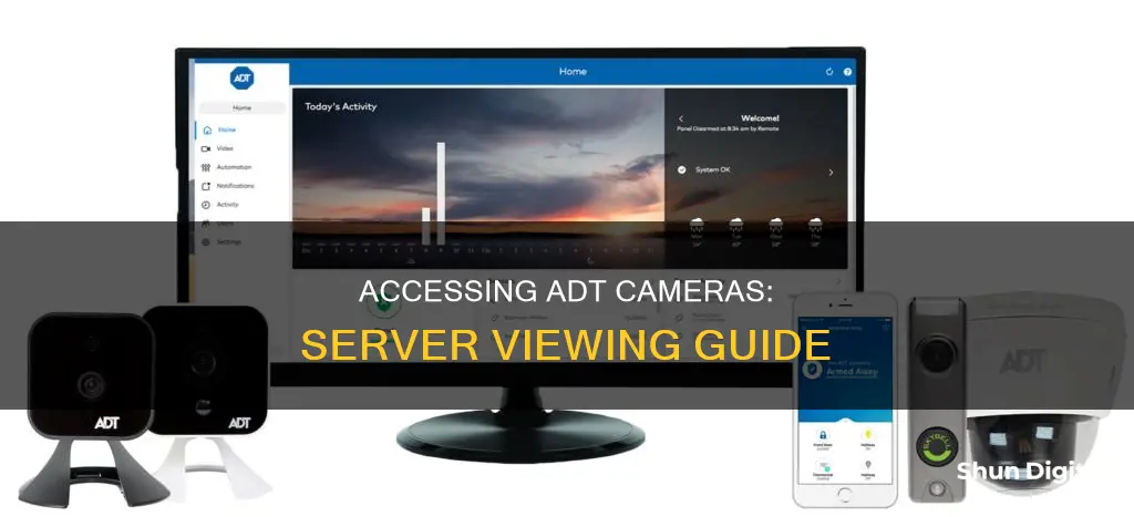 how to watch my adt cameras from the server