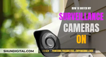 Surveillance Cameras: Live Viewing and Remote Monitoring