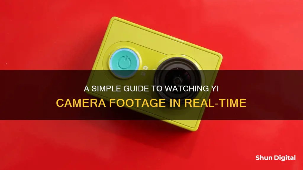 how to watch real time in yi camera