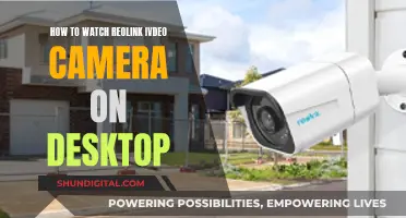 View Reolink Cameras on Desktop: A Step-by-Step Guide