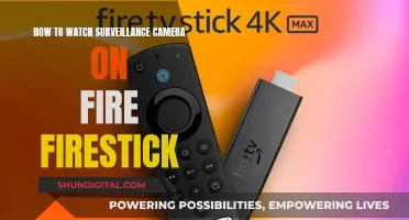 Surveillance Camera Viewing on Fire TV Stick