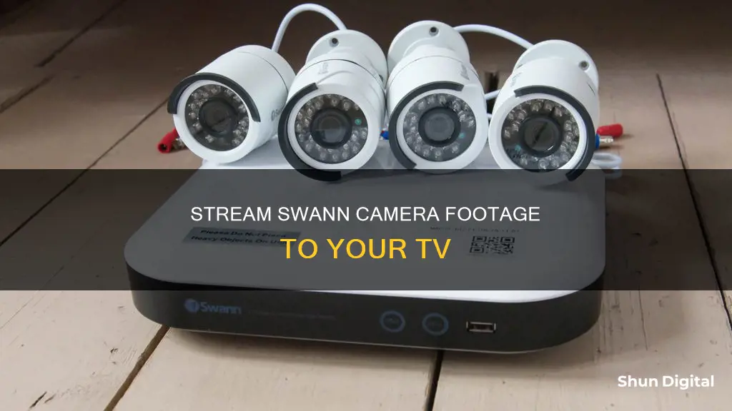 how to watch swann camera on tv