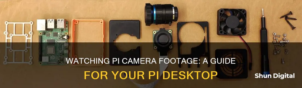 how to watch the pi camera footage to pi desktop