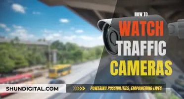 Traffic Cameras: Live Viewing and Beyond