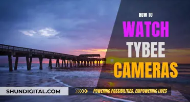 Stream Tybee Island: Accessing the Tybee Cameras