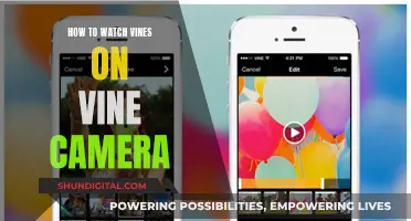 Vine Camera: Reliving the Vines