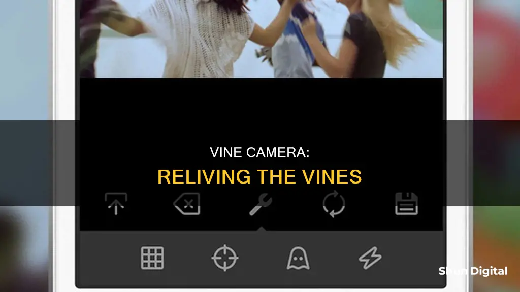 how to watch vines on vine camera