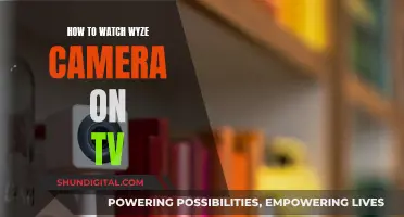 Stream Wyze Camera Footage to Your TV: Easy Steps