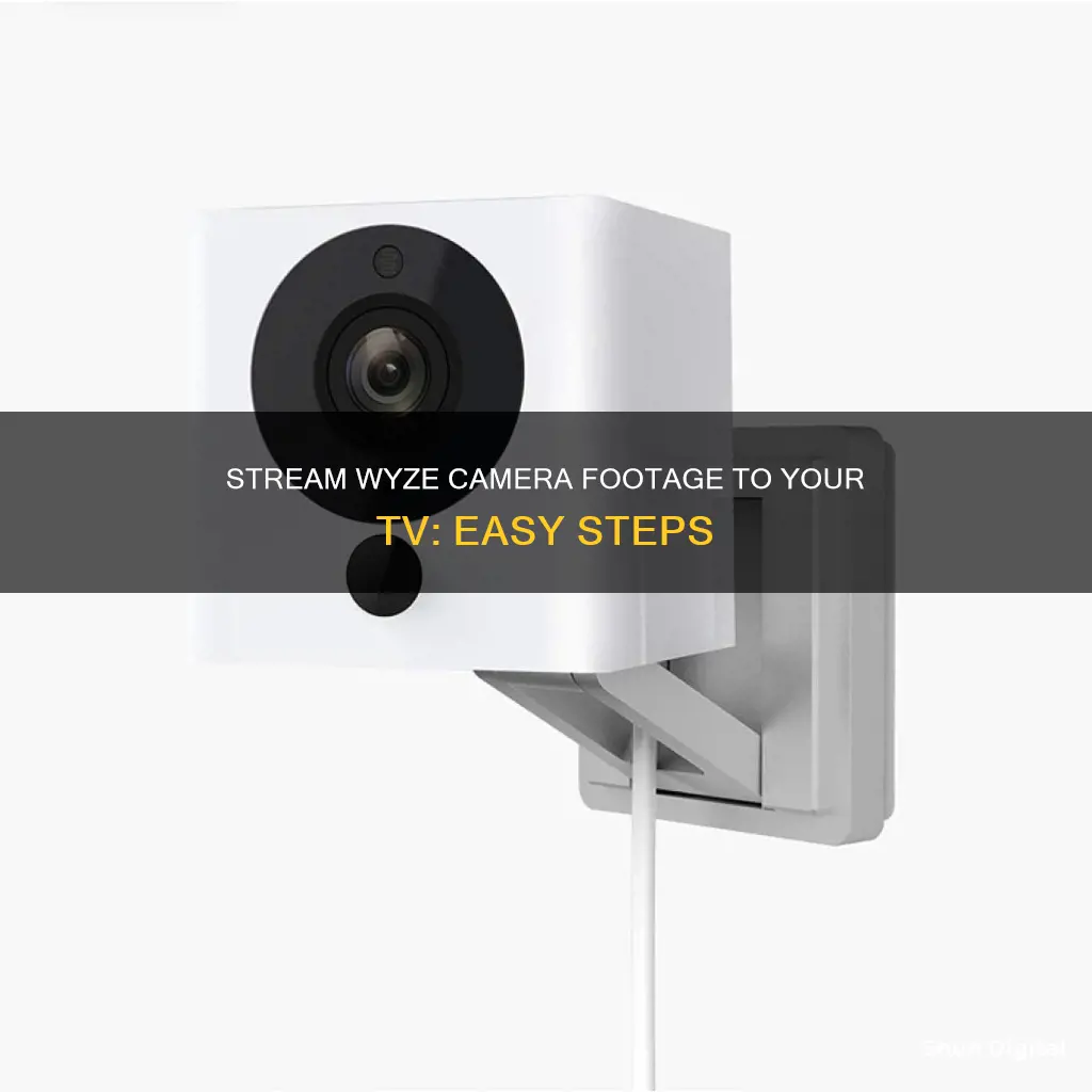 how to watch wyze camera on tv