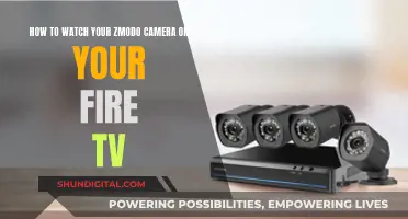 Stream Zmodo Cameras on Fire TV: Easy Steps