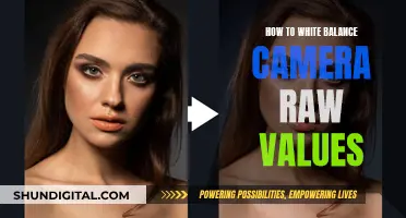 Mastering Camera Raw White Balance