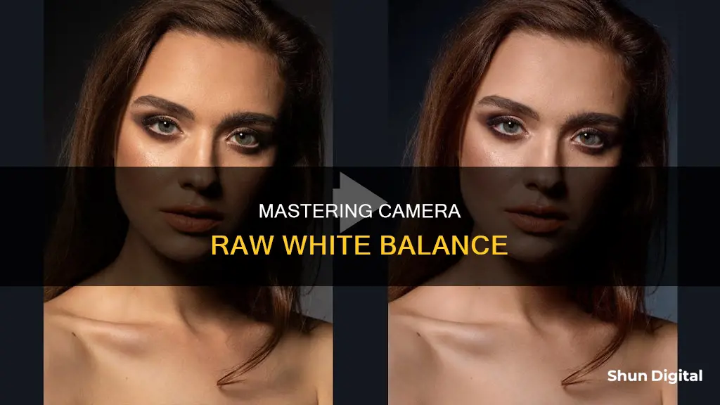 how to white balance camera raw values