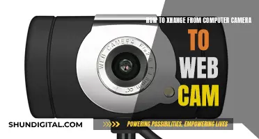 Switching Camera Views: From PC to Web Cam