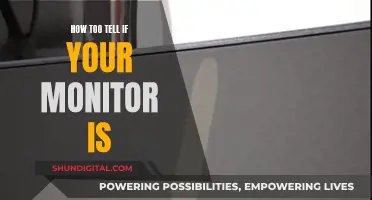 Ways to Determine if Your Monitor is Faulty