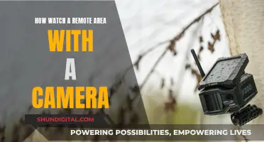 Monitoring Remote Areas: Camera Surveillance Techniques