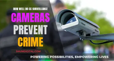 Surveillance Cameras: Crime Prevention or Privacy Invasion?