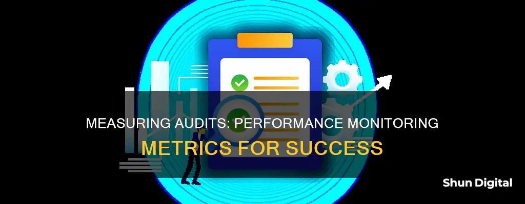 how would you measure the audits and performance monitoring