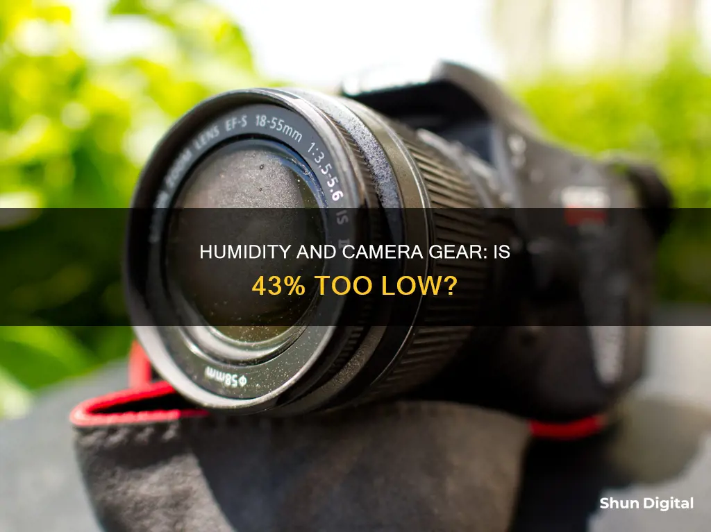 is 43 humidity too low for camera and lenses