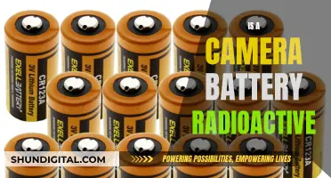 Camera Battery Radioactivity: What's the Truth?